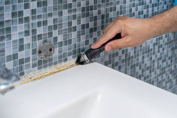 Mold Testing and Removal in Bostonia, CA
