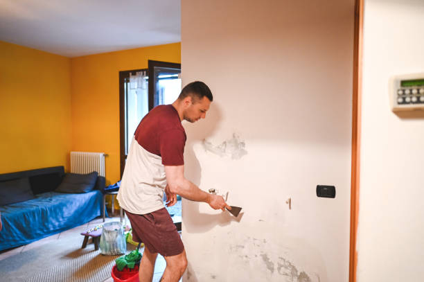 Best Water Damage Restoration  in Bostonia, CA