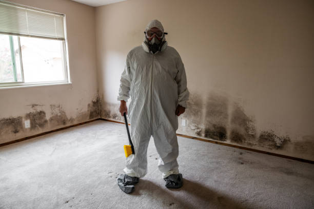 Best Crawl Space Mold Removal  in Bostonia, CA